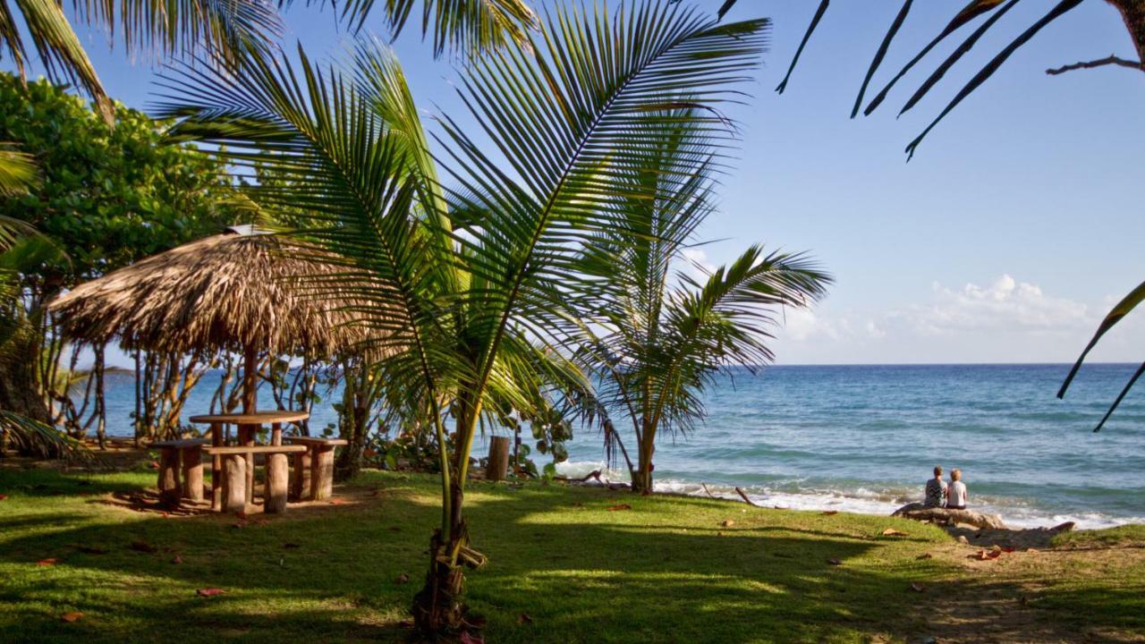 Natura Cabana Boutique Hotel & Spa By Mint Cabarete Exterior foto