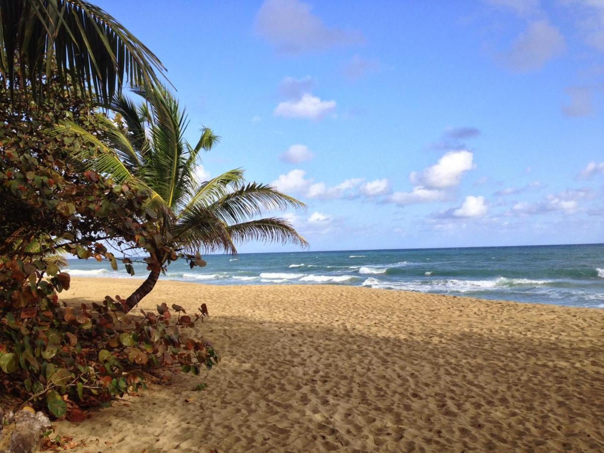 Natura Cabana Boutique Hotel & Spa By Mint Cabarete Exterior foto